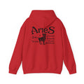 Aries Back Print  Zodiac Hoodie