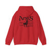 Aries Back Print  Zodiac Hoodie