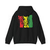 Reggae Rasta Lion Flag Pullover Hoodie