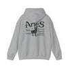 Aries Back Print  Zodiac Hoodie