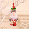 Assorted 2-Piece Christmas Gnome Hanging Widgets